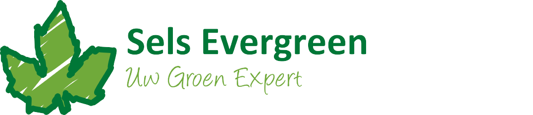 Sels Evergreen